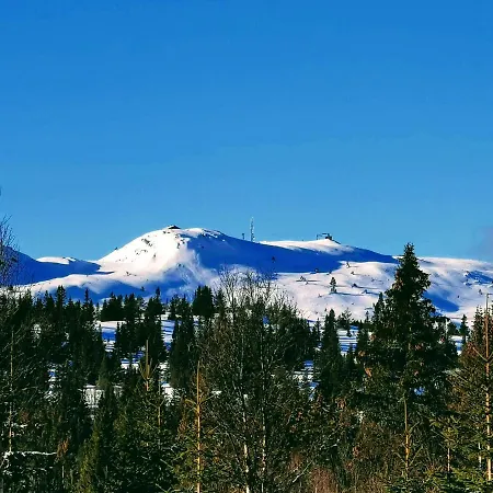 Orterstolen Дом отдыха