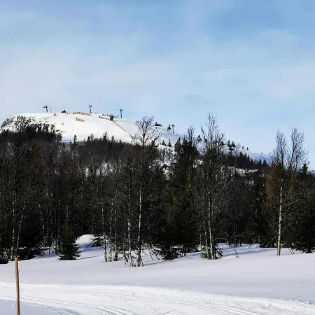 Orterstolen Gol